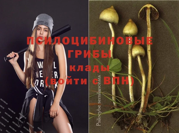 ECSTASY Богородицк