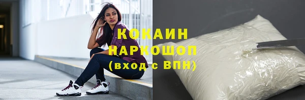 прущий лед Бородино