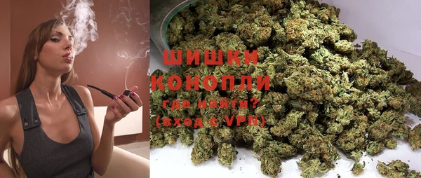 ECSTASY Богородицк