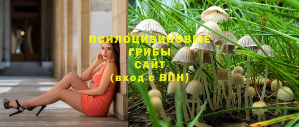 ECSTASY Богородицк