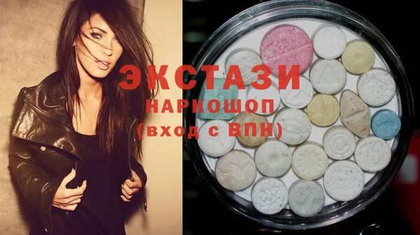 ECSTASY Богородицк