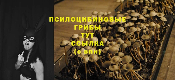 трава Бронницы