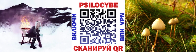 Галлюциногенные грибы мицелий  Хабаровск 